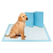 PAÑAL DE PISO PARA PERROS
