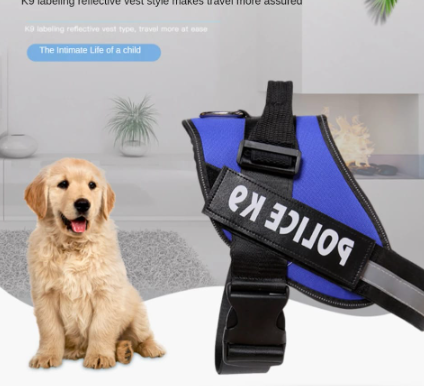 SERVICE DOG
