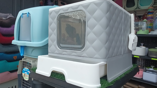 ARENERO CUBO GATO