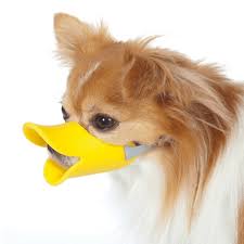 BOZAL PATO
