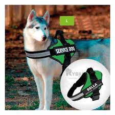 SERVICE DOG